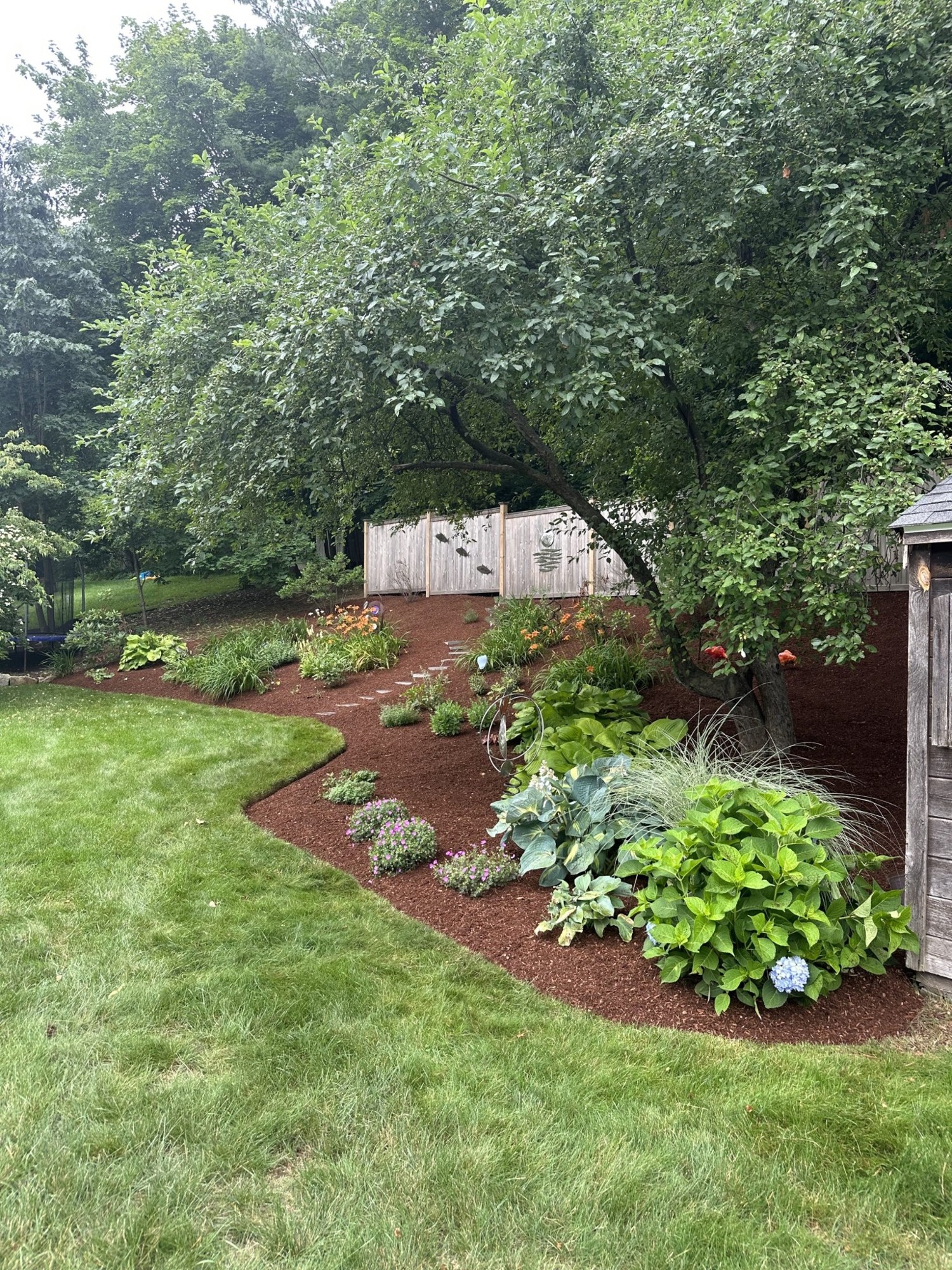 Fresh mulch installed in landscaped garden beds with curved edging in Massachusetts